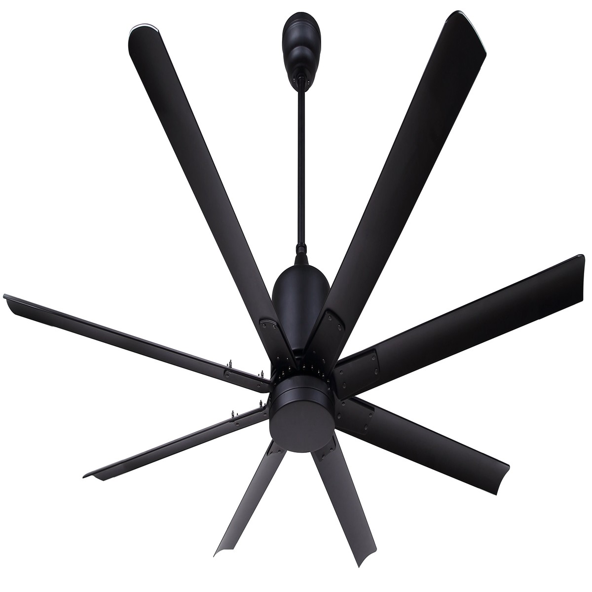Ceiling Fan - Canarm EZRA Outdoor Ceiling Fan, CP72EZR8BK-NLW