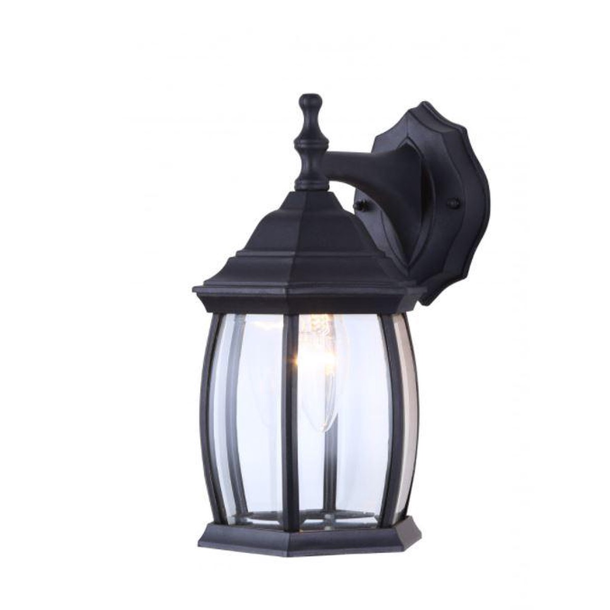 Outdoor Light - Canarm Black Downlight IOL1210
