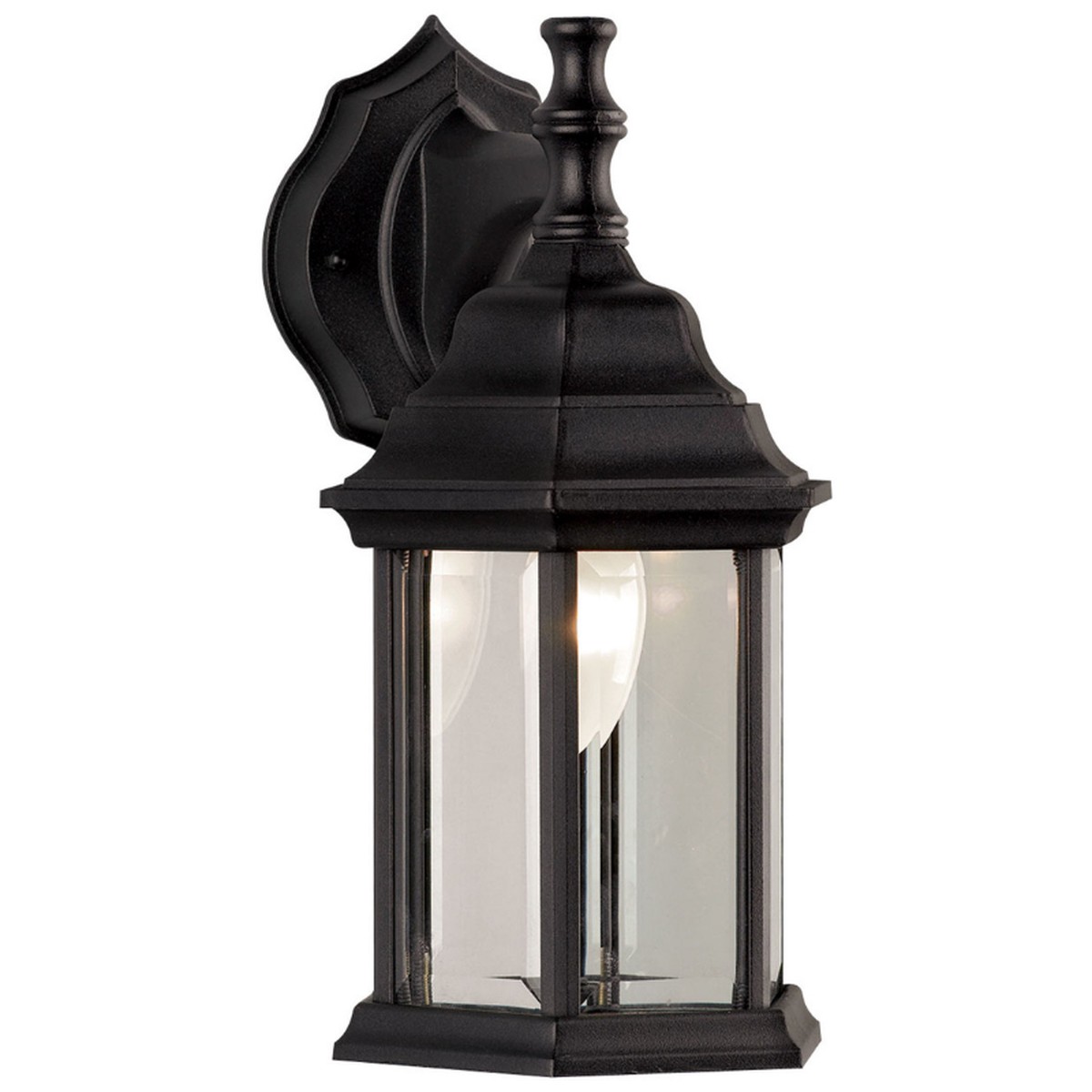 Outdoor Light - Canarm Black Downlight IOL410